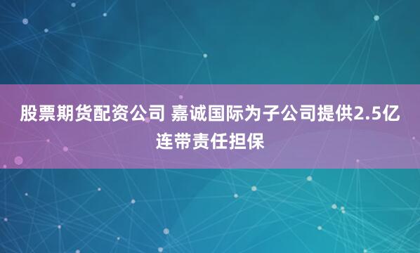 股票期货配资公司 嘉诚国际为子公司提供2.5亿连带责任担保