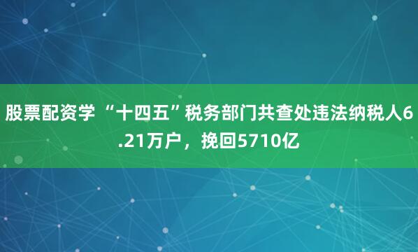 股票配资学 “十四五”税务部门共查处违法纳税人6.21万户，挽回5710亿